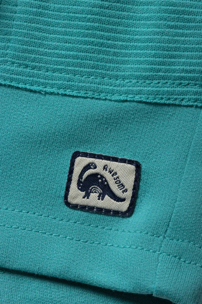 Shorts Green (1)