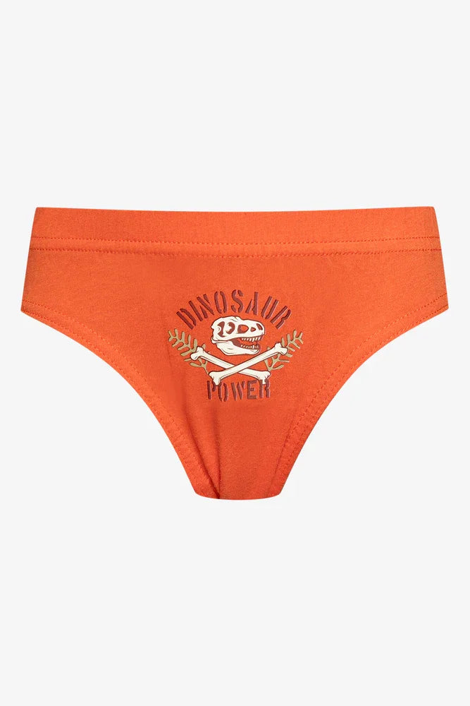 5 Pack Dino Briefs Multi (5)