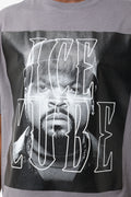 Icecube Short Sleeve T-Shirt Dark Grey (3)