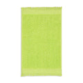 Textured Fringed Guest Towel Green (1)