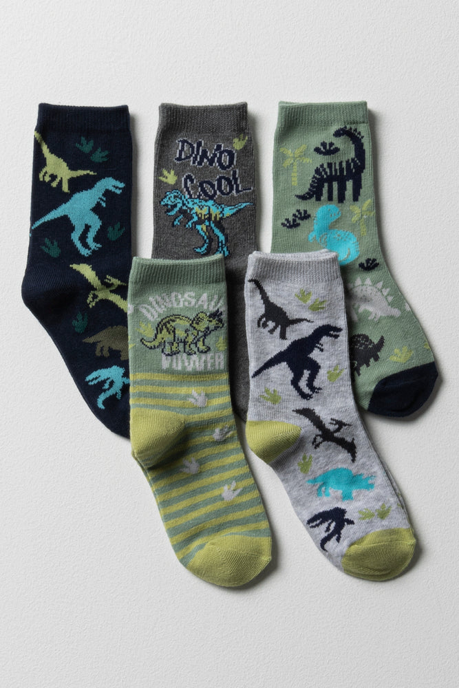 5 Pack Dinosaur Socks Multi