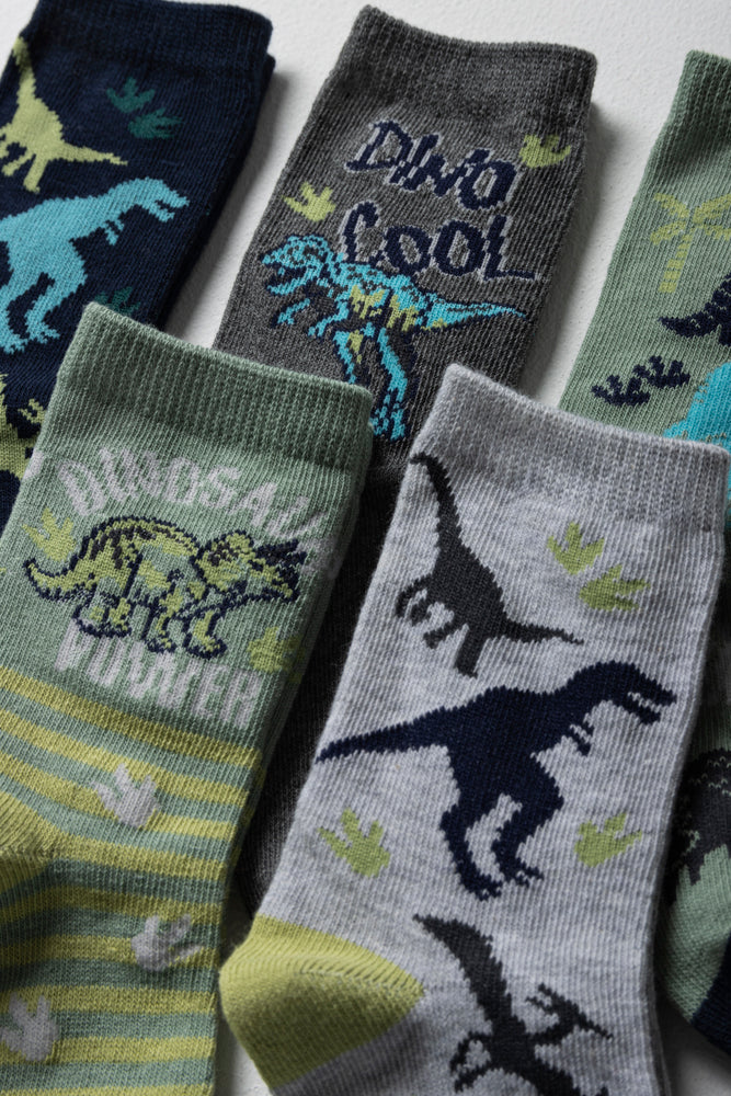 5 Pack Dinosaur Socks Multi (1)