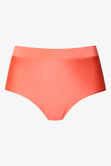 Shimmer Full Brief Bottom Pink
