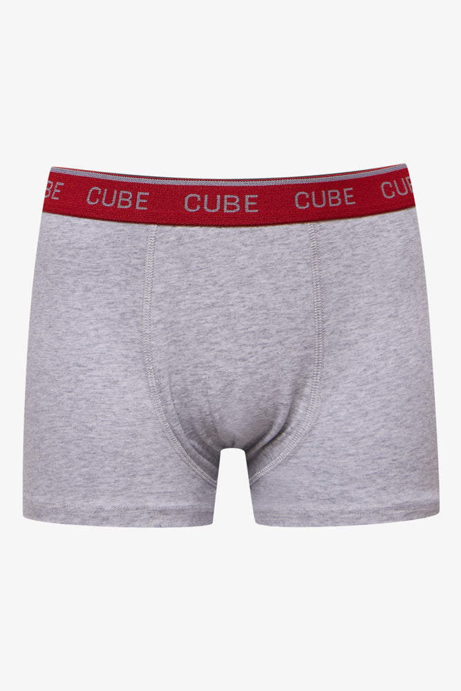 3 Pack Boxers Grey, Red & Navy (3)