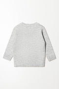 Star Pullover Jersey Grey (2)