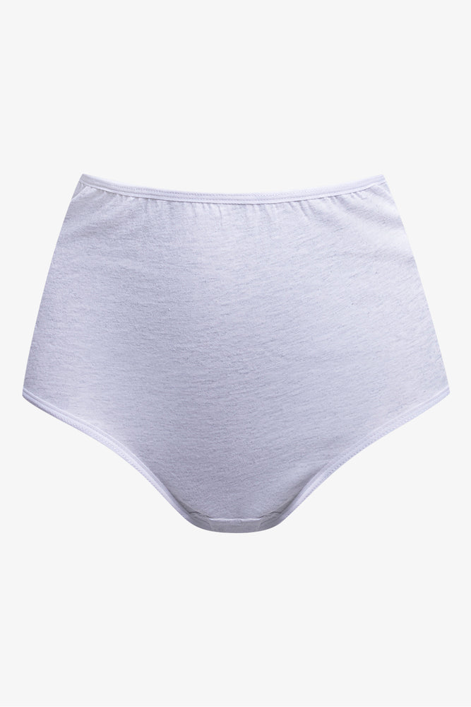 3 Pack Briefs Blue and Ice Melange (2)