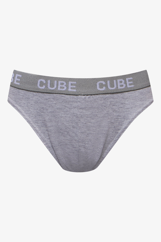 5 Pack Briefs Blue (2)