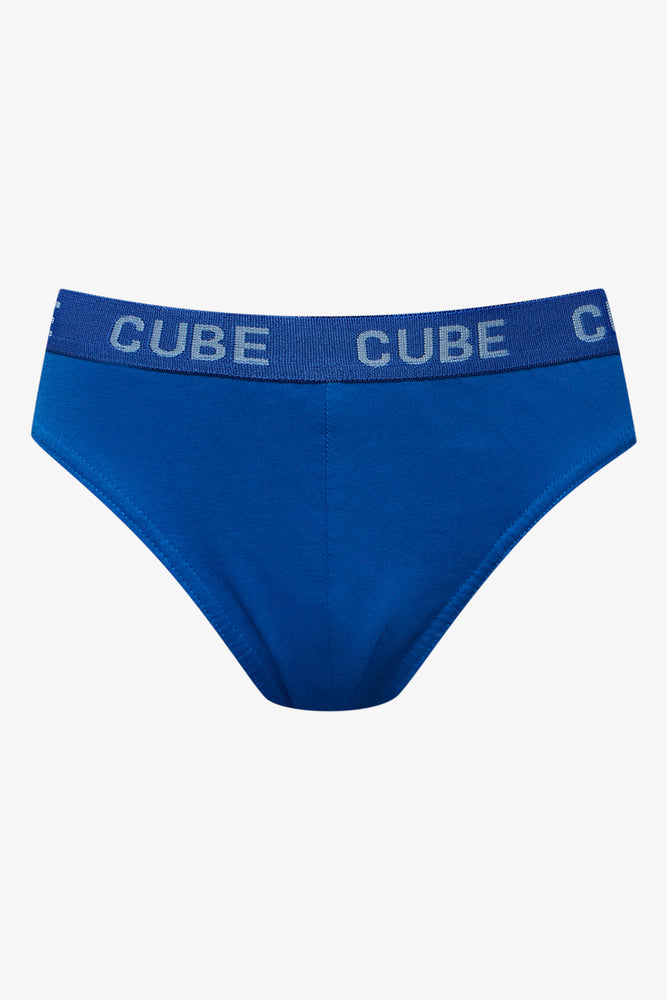 5 Pack Briefs Blue (4)