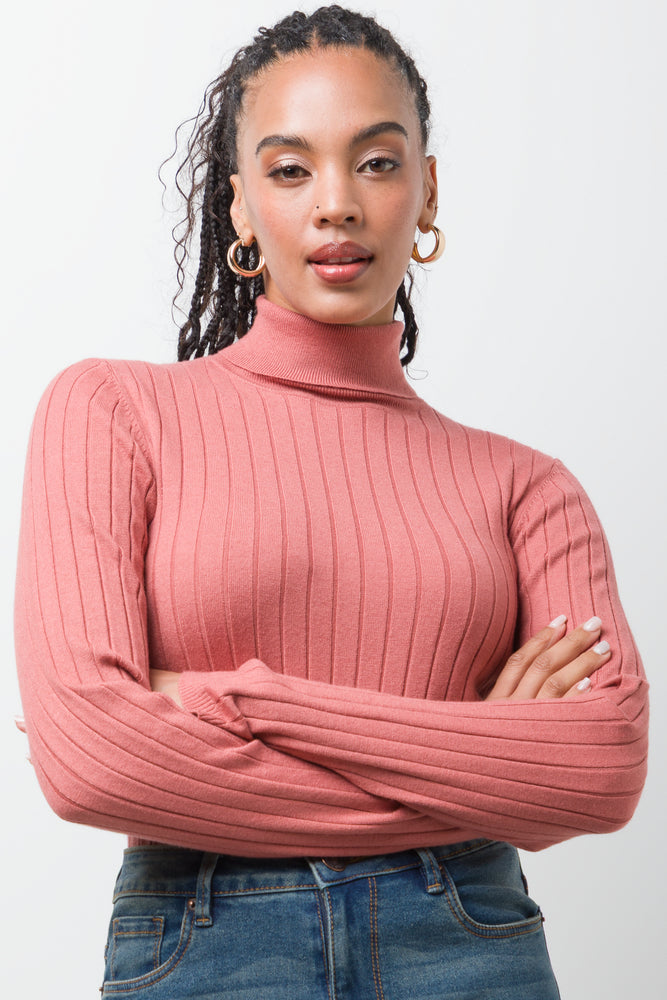 Long Sleeve Poloneck Pink