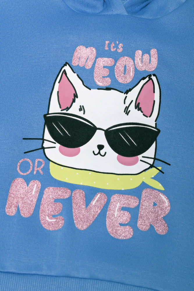 2 Pack Cool Cat Hoodies Blue And Pink