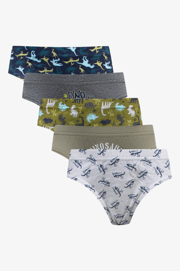 5 Pack Dinosaur Briefs Multi