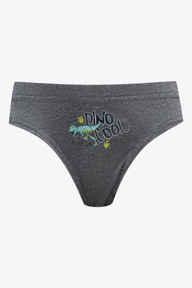 5 Pack Dinosaur Briefs Multi (2)
