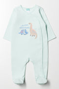 Dinosaur Babygrow Green