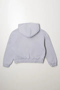 Embroidered Hoodie Grey (2)