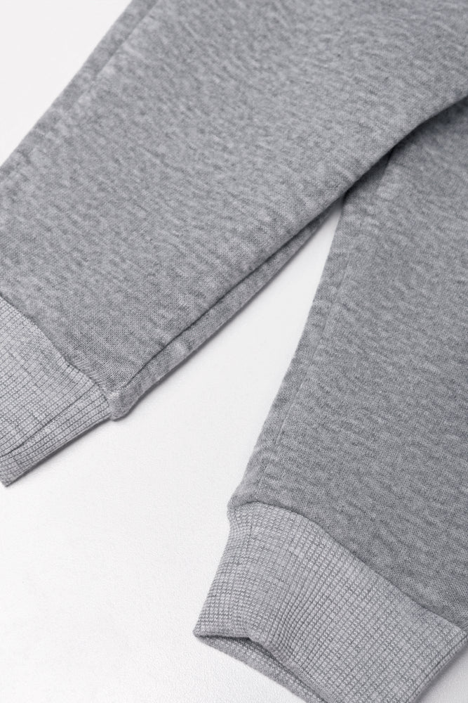 Dinosaur Hooded Tracksuit Grey (2)