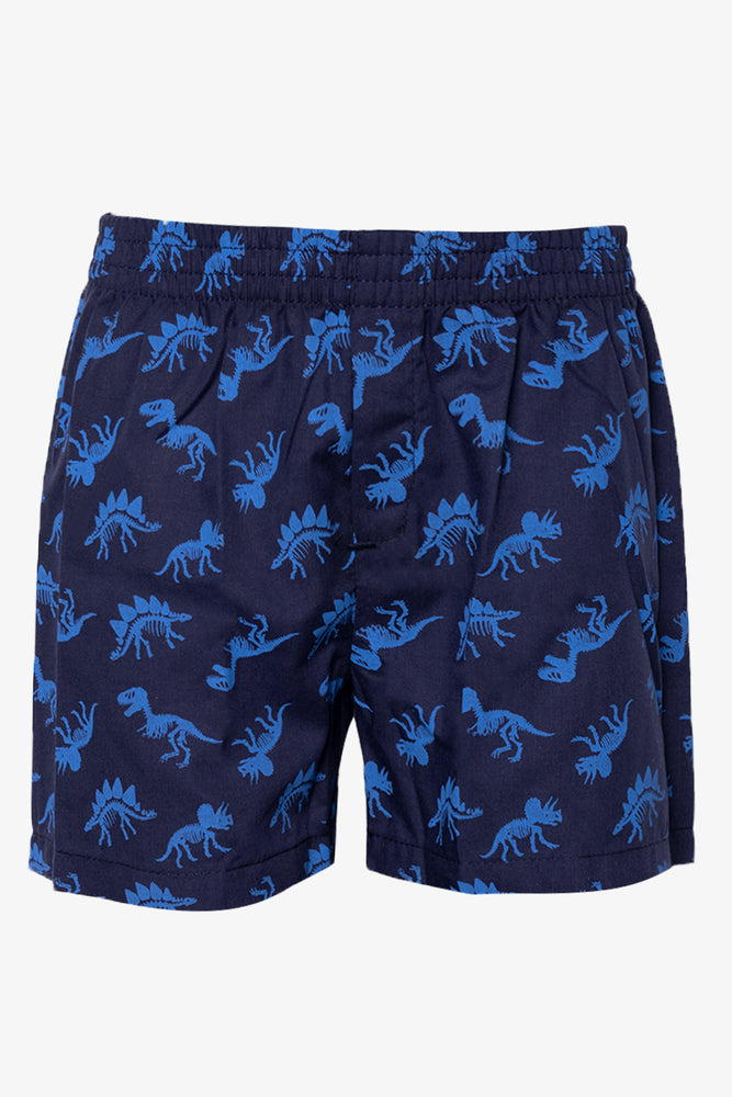 3 Pack Boxers Blue (3)