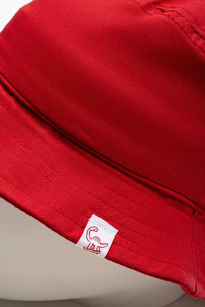 Hat Red (2)