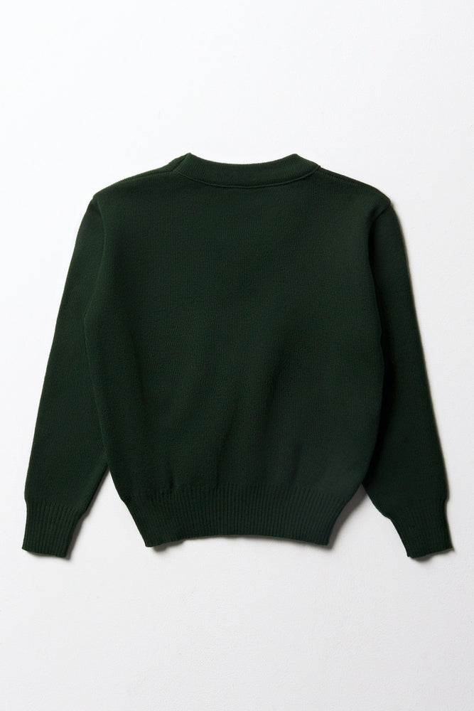 Primary School Long Sleeved Jersey Green (3)