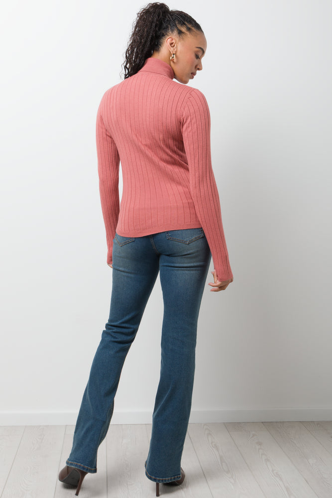 Long Sleeve Poloneck Pink (2)