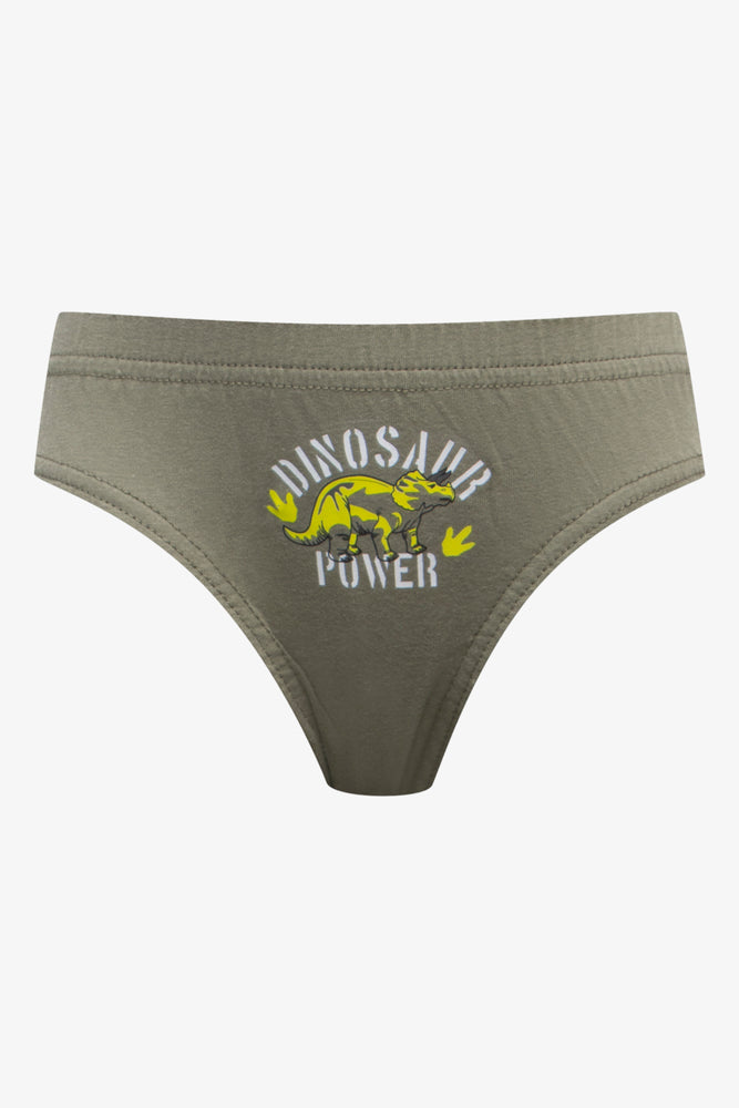 5 Pack Dinosaur Briefs Multi (5)