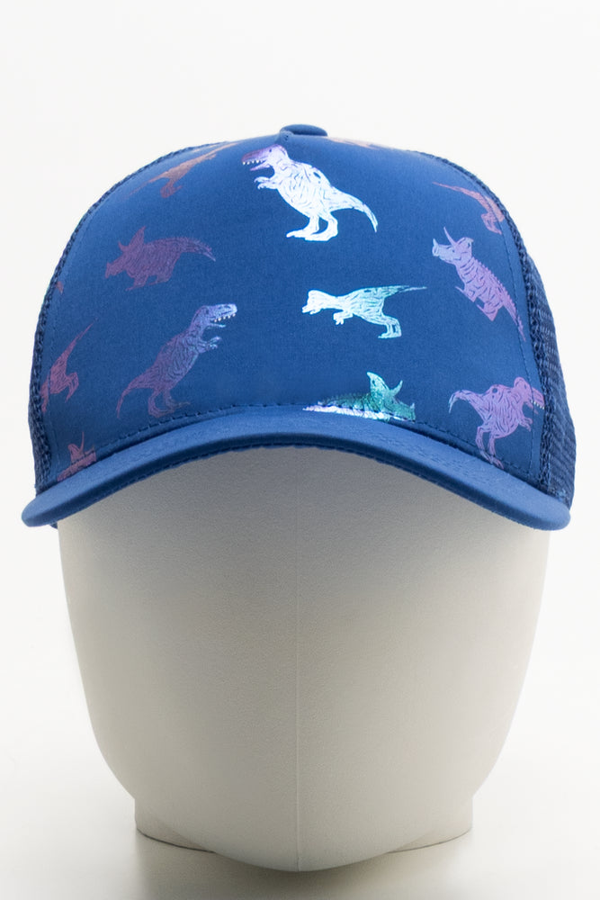 Dinosaur Peak Cap Blue