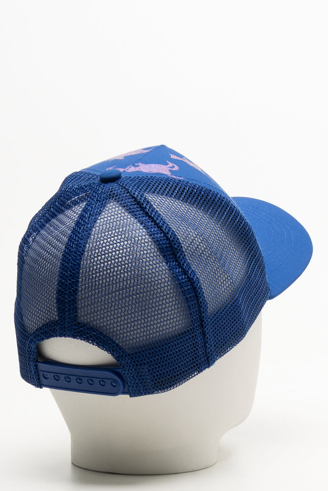 Dinosaur Peak Cap Blue