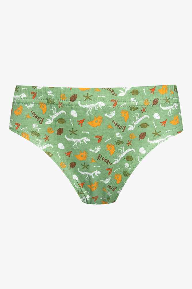 5 Pack Dino Briefs Multi (4)
