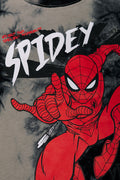 Spider-Man Tie Dye T-Shirt Grey (1)