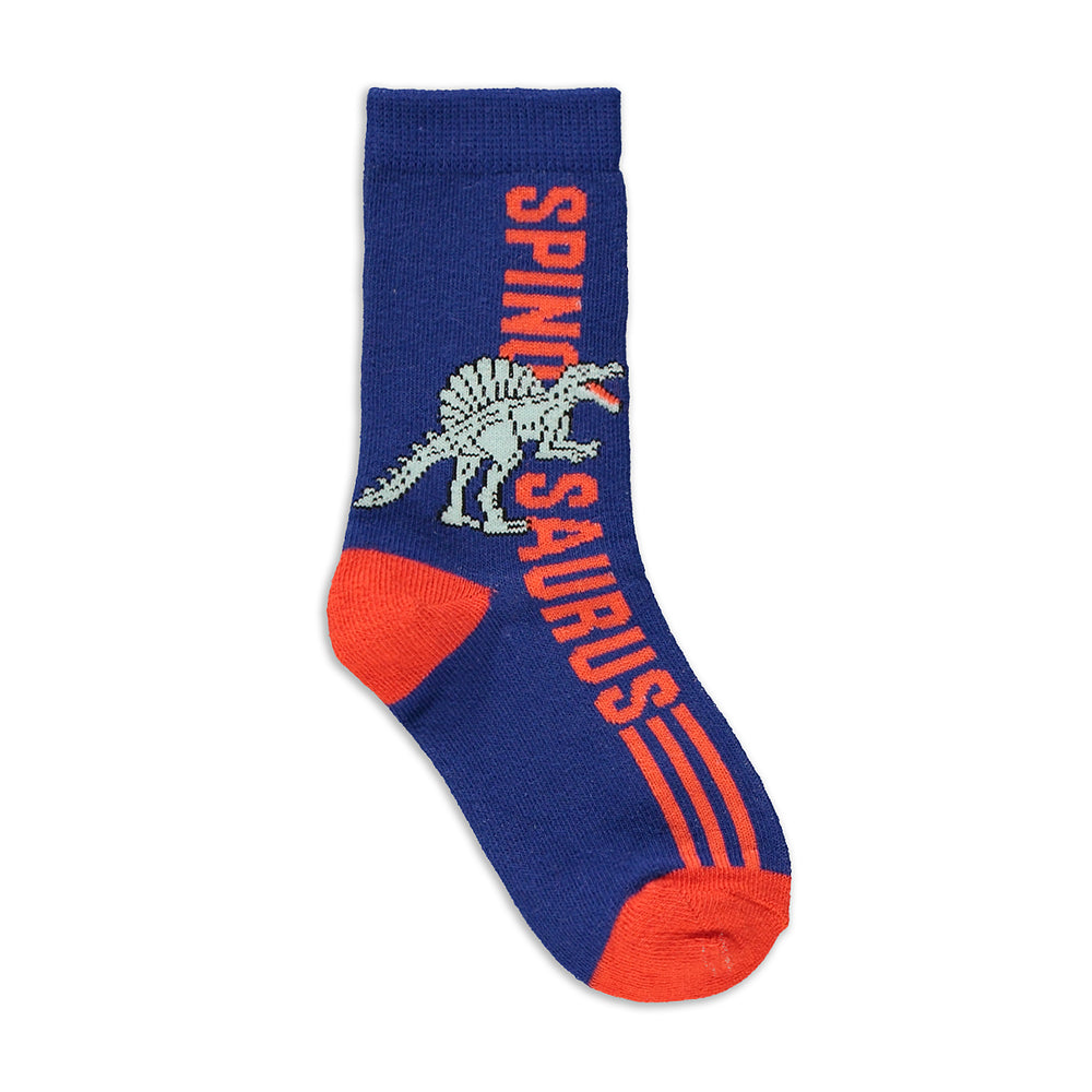 5 Pack Dino Socks Multi (1)