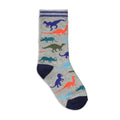 5 Pack Dino Socks Multi (2)