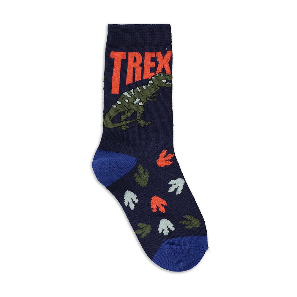 5 Pack Dino Socks Multi (3)