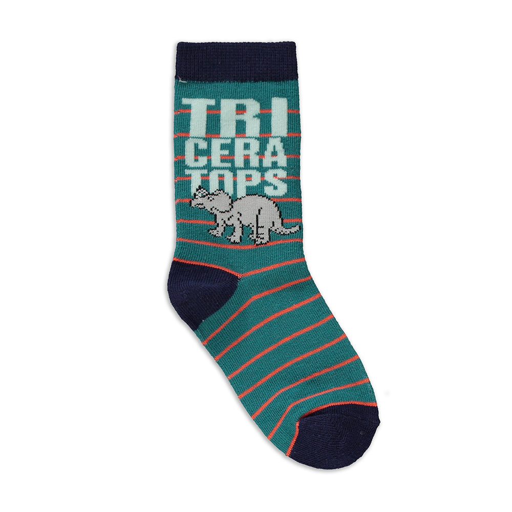 5 Pack Dino Socks Multi (5)