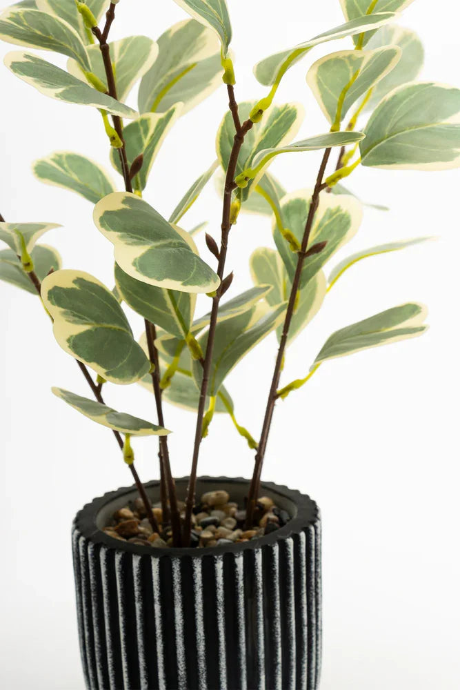Green 2 Tone Plant 35cm (1)