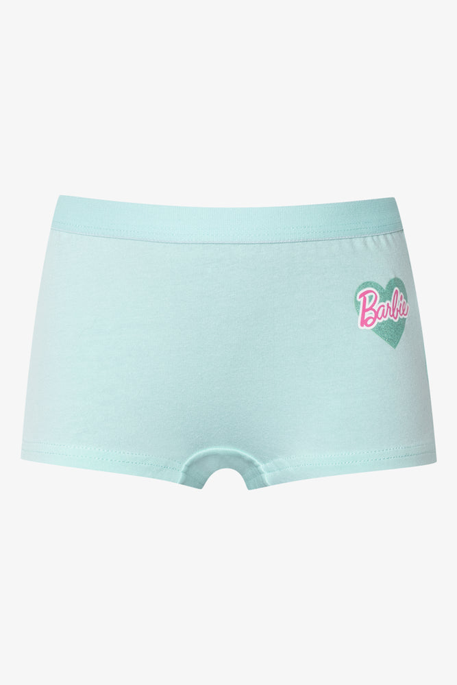 2 Pack Barbie Boylegs Pink And Aqua (1)