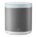 Xiaomi Mi Smart Speaker