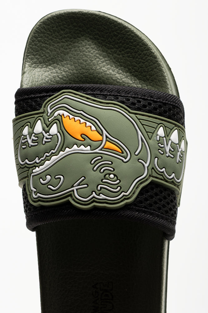 Dinosaur Slides Green (4)