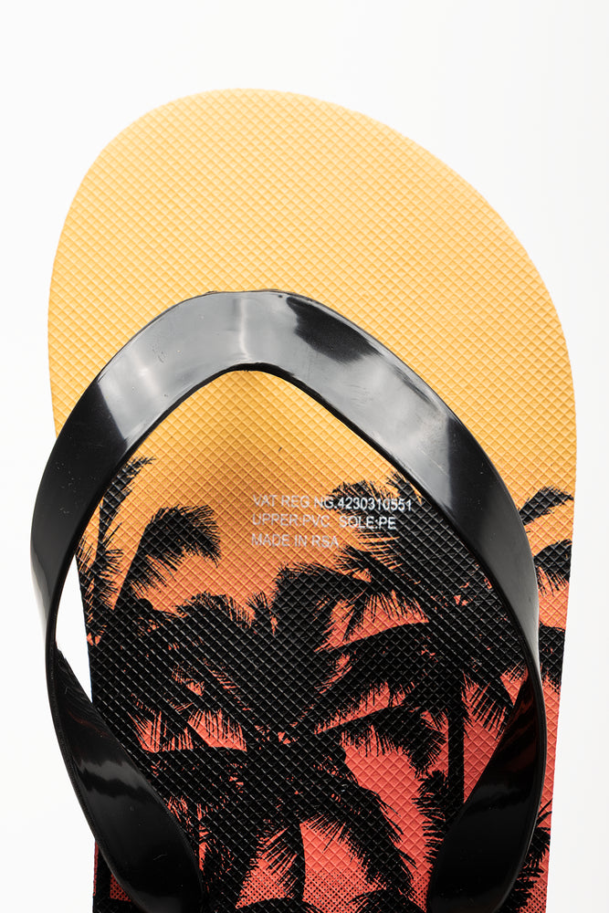 Flip Flops Multi (4)