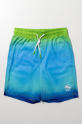 Ombre Swim Shorts Blue And Green