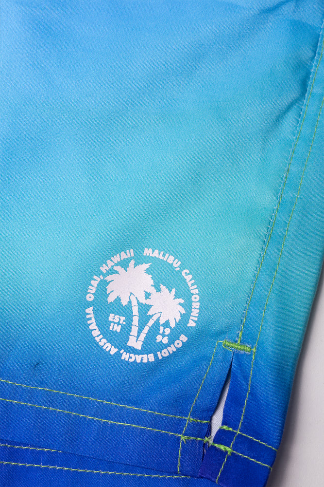 Ombre Swim Shorts Blue And Green