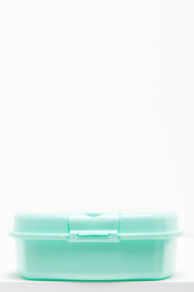 Peanuts & Snoopy Lunch Box (1)