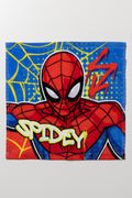 Spider-Man Face Cloth Multicolour