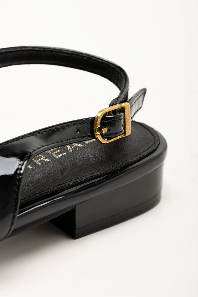 Pointy With Trim Shoes Black (3)