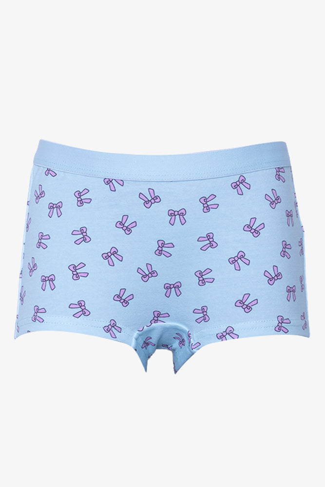 2 Pack Boyleg Panties Blue And Grey (2)