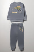 Bafana Bafana  Tracksuit Grey
