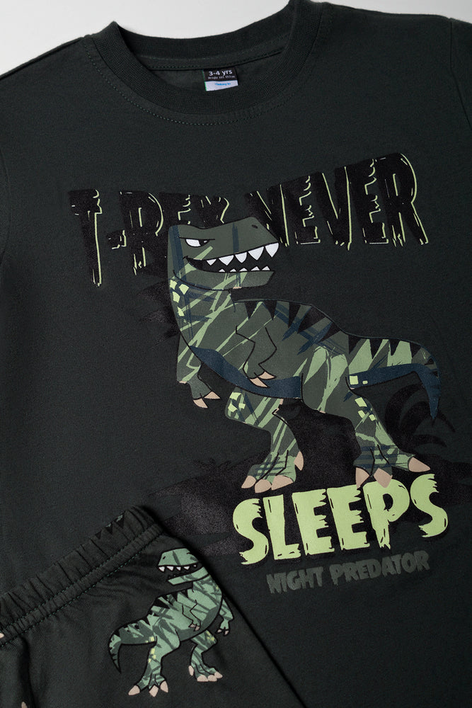 Dinosaur Graphic Pyjama Set (1)
