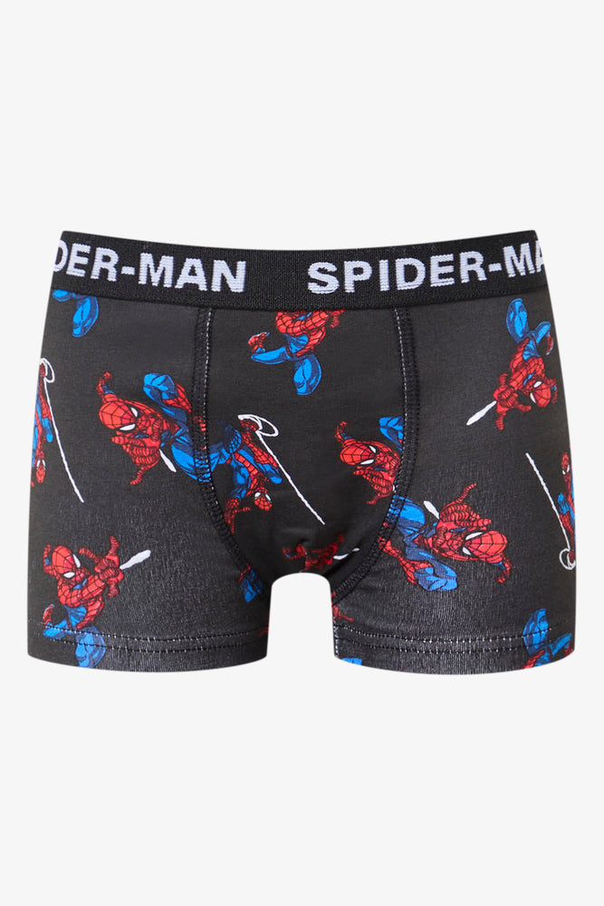 Spider-Man 2 Pack Knit Boxers (3)