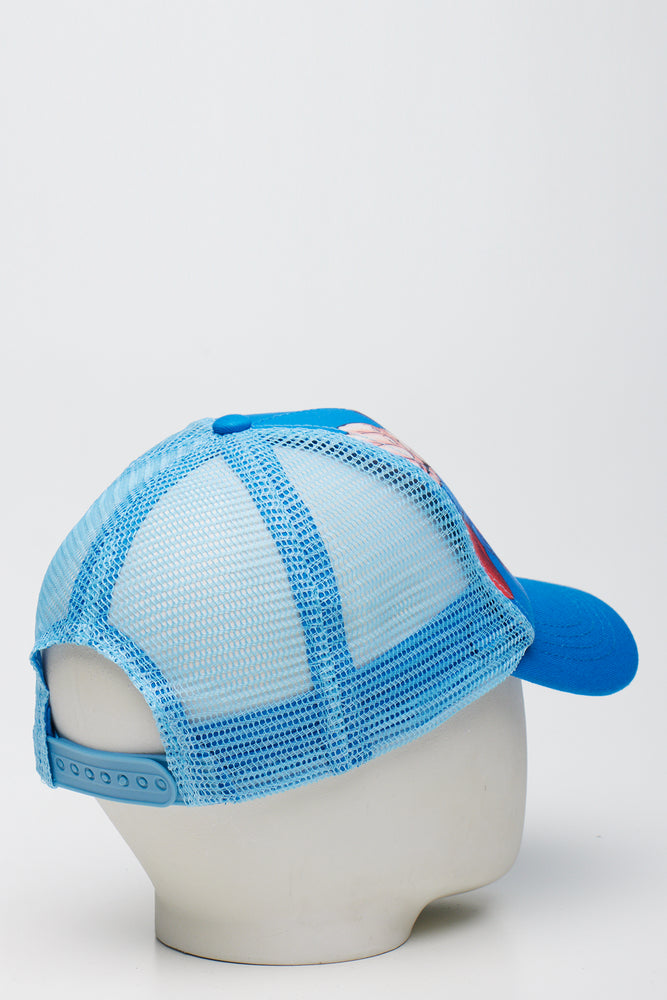 Cobalt Superman Trucker Cap (3)